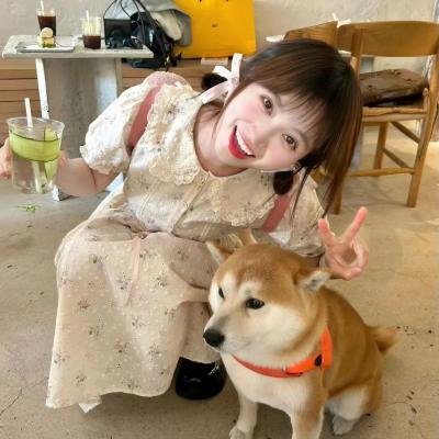 猫汤